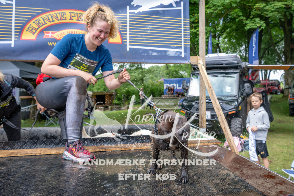 1029_ZZ90865 | kk-dogfotos