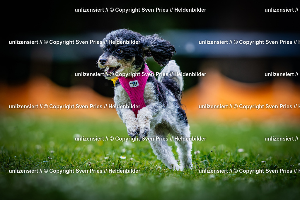 Sven Pries | 2025-05-29 - Pudelrennen KA-Durlach - Realisiert mit Pictrs.com