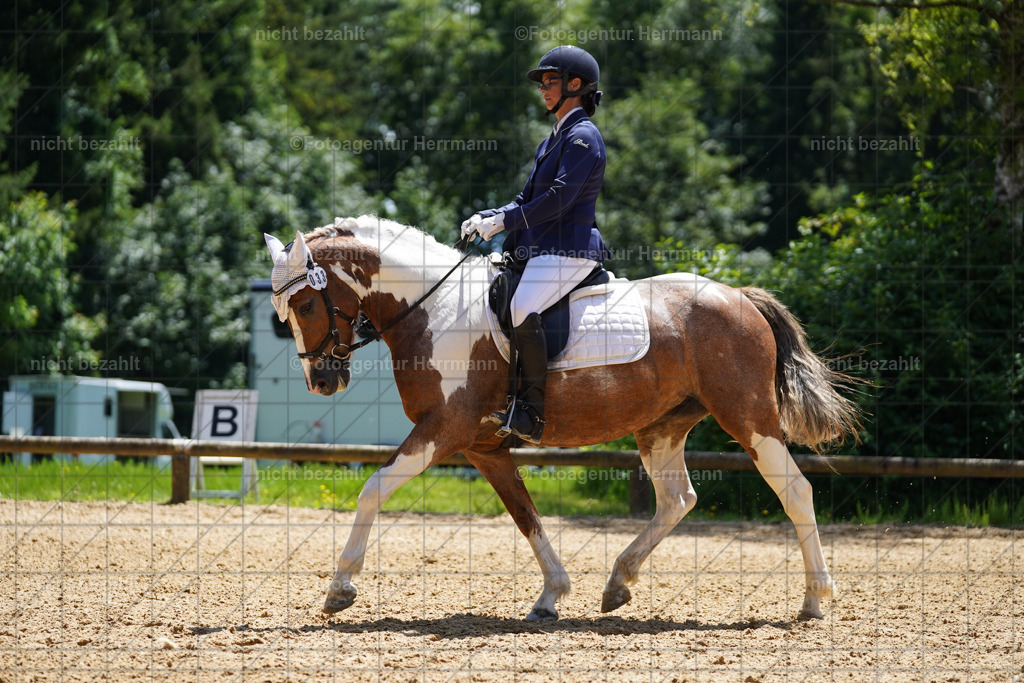 20240705-FAH04163 | Turnierbilder von Grafing, Reitsportbilder, Turnierfotos, Turnierfotografen Bayern, Pferdefotograf, Fotoagentur Herrmann