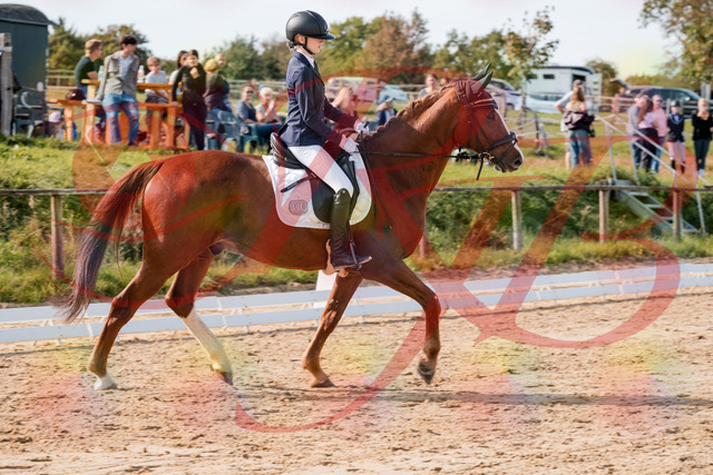 2026_10_03_Siefer-Hof_123416_Z63_52697469 | Professionelle Reitsport-, Turnier- und Eventfotografie von Robert Broda. Galerien mit ausgewählten und bearbeiteten Bildern direkt online ansehen und bestellen.