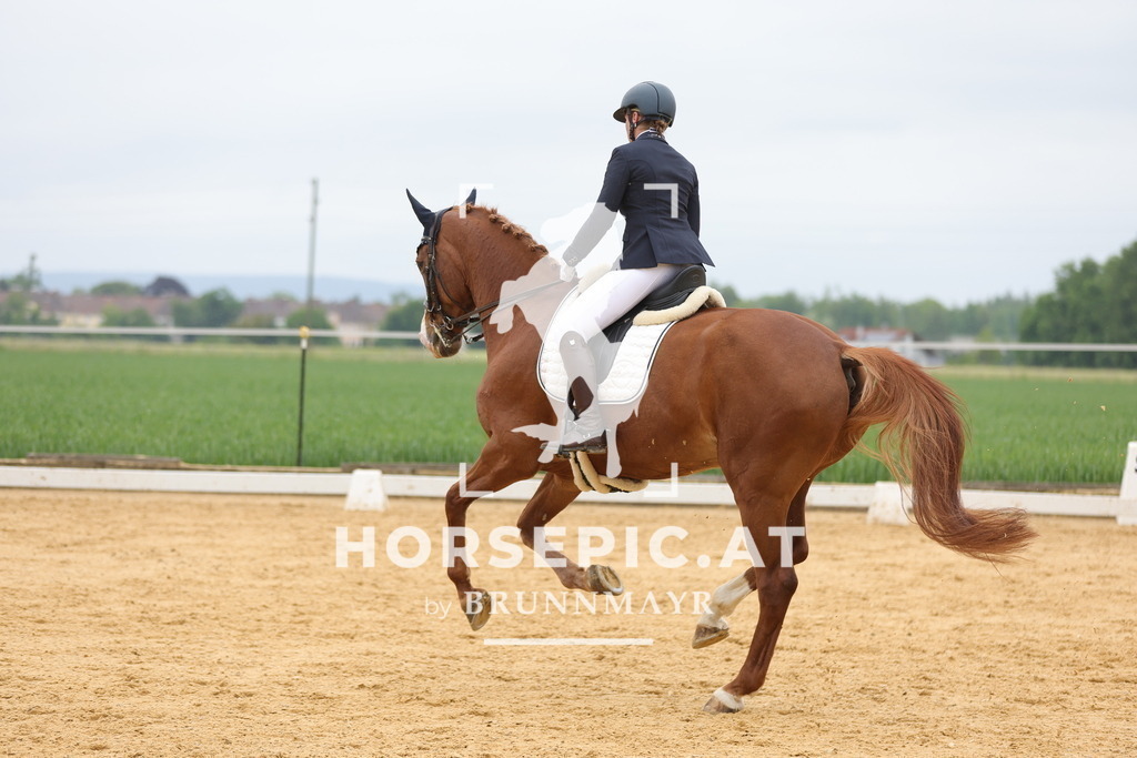 0P6A1084 | Willkommen bei Brunnmayr - Design & Fotografie – Ihrem Spezialisten für Reitturniere und Pferdeveranstaltungen in Oberösterreich, Salzburg und Bayern! Seit über 17 Jahren sind wir leidenschaftlich dabei.
