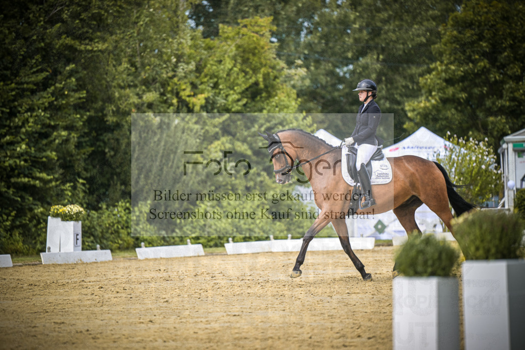 DOS_6158 | Entdecke hochwertige Reitturnierfotos von Foto Oger. Professionell, emotional und authentisch – jetzt Lieblingsmomente im Shop bestellen.Deutschlandweite Turnierfotografie. - Realisiert mit Pictrs.com