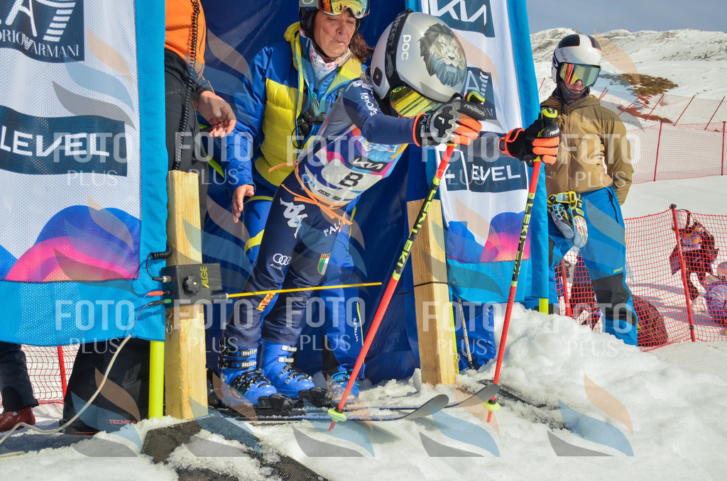 _ELE4306 | holidayphoto