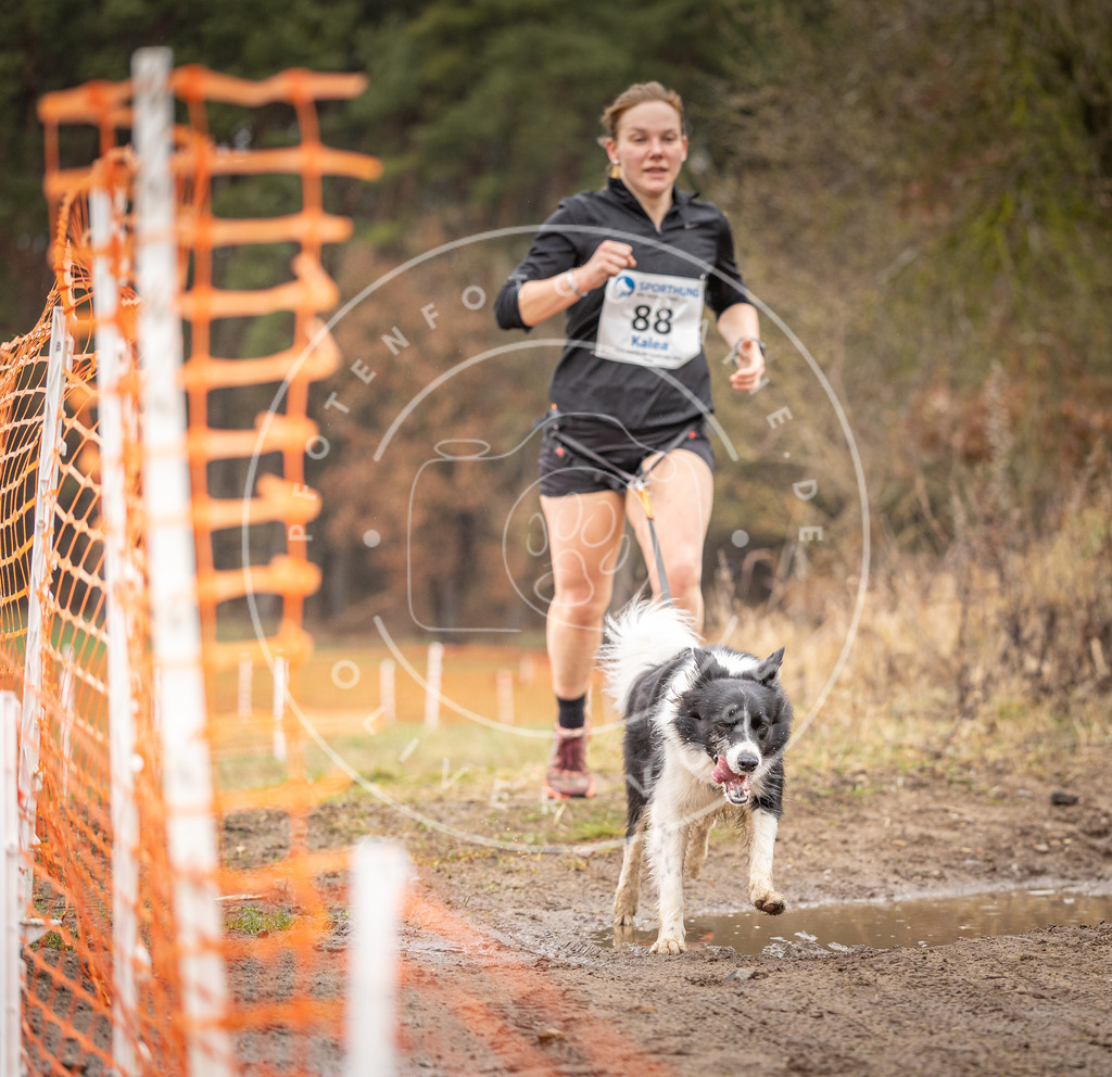 DV3A0391 | Hundefotografie, Tierfotograf, Pfotenfotografie, Fotoshooting Hund, Hunde Portrait, Hundesport, Hundeportraits, Heideshooting, Hunde, Sportfotograf, Hundefotograf, Turnierhundsport, THS,  - Realisiert mit Pictrs.com