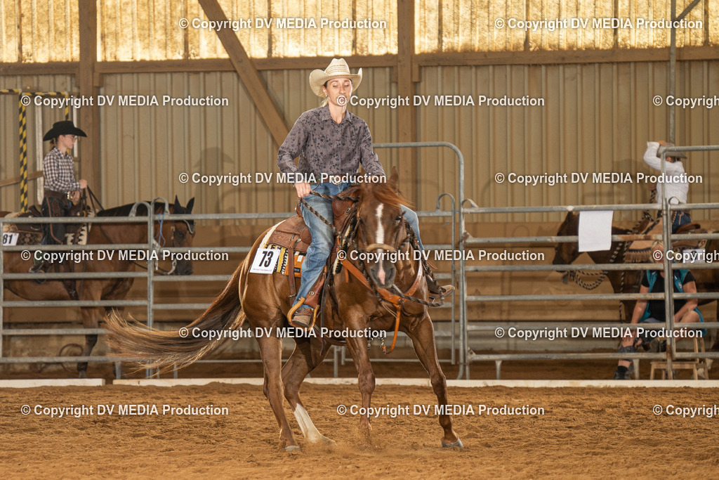 NID01477 | dv-media-shop - Realisiert mit Pictrs.com