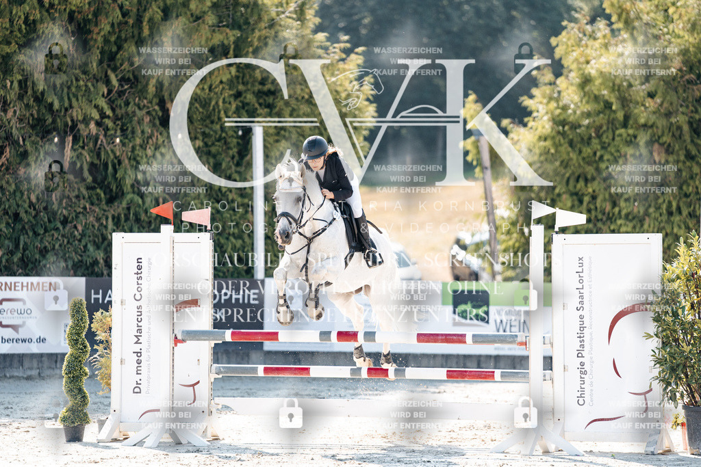 CK907654 | Turnierfotografie Pferdefotografie Trier Rheinland-Pfalz Pferdesport Reitsport Tierfotografie Sportfotografie Pferdevideo Pferdevideografie Equestrianvideography equestrianphotography  - Realisiert mit Pictrs.com