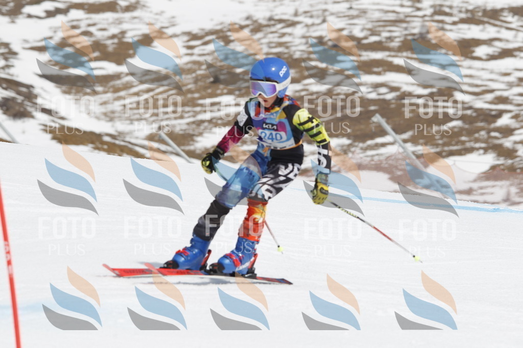 _U3G2680 | holidayphoto