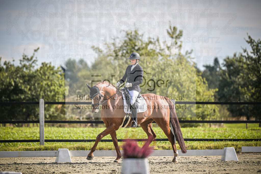 DOS_0861 | Entdecke hochwertige Reitturnierfotos von Foto Oger. Professionell, emotional und authentisch – jetzt Lieblingsmomente im Shop bestellen.Deutschlandweite Turnierfotografie. - Realisiert mit Pictrs.com