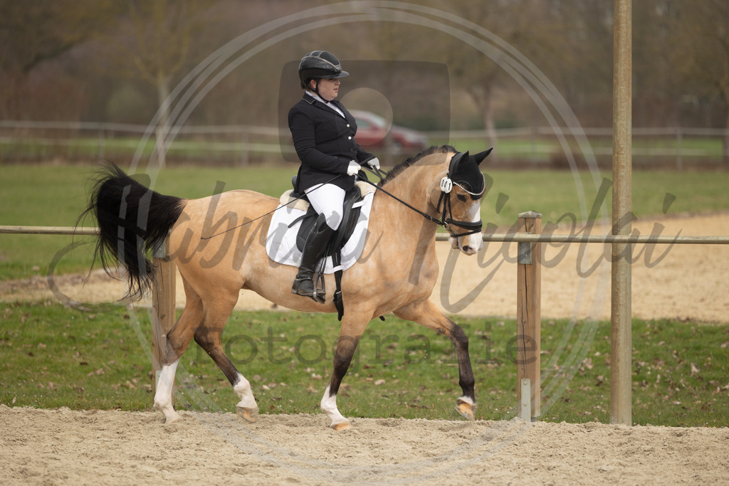 994A9319 | sabrinanicolaifotografie - Realisiert mit Pictrs.com