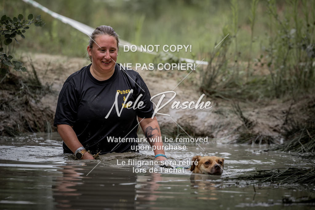 nelerasche_so0800-0930_104 | nelerasche