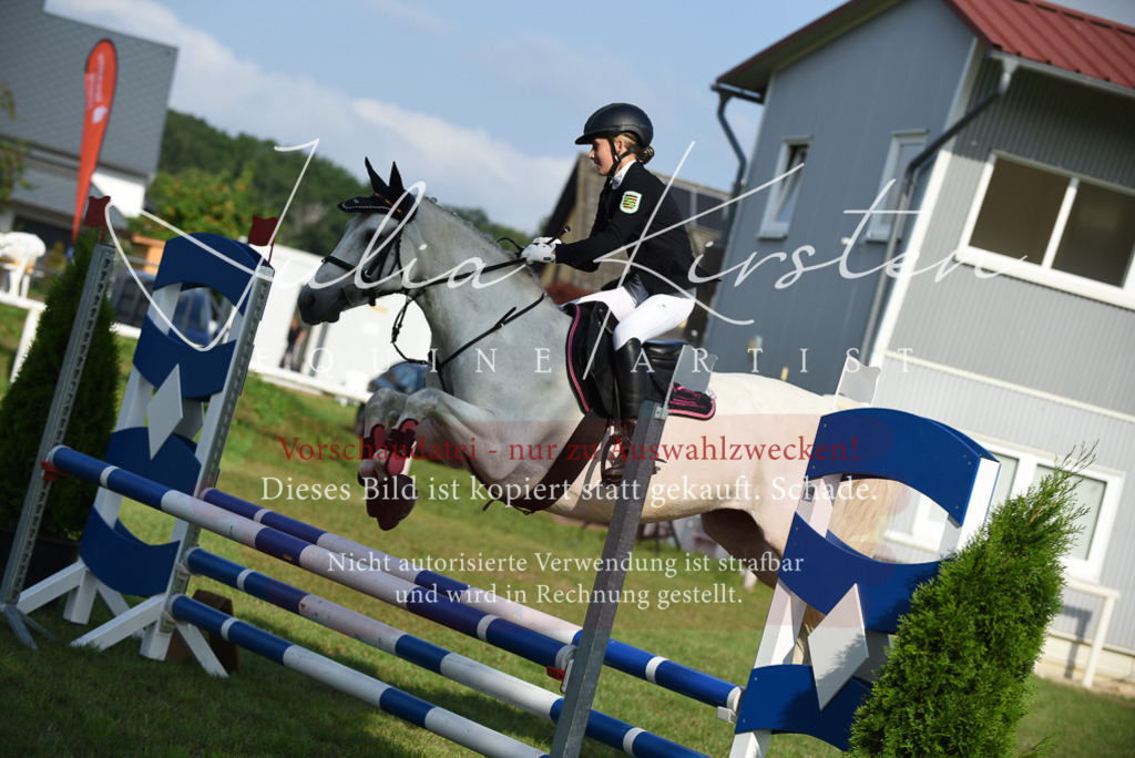 DSC_8654 | Pferde- und Turnierfotografie in Westsachsen. Pferdeportraits, Auftragszeichnungen und intuitive Kunst.