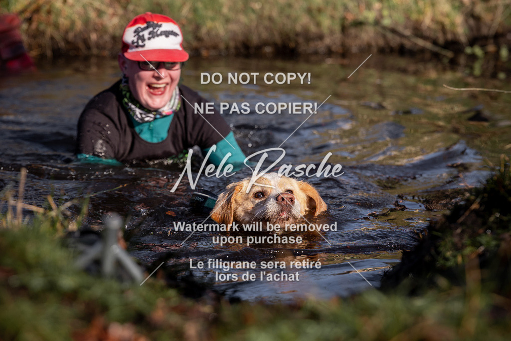nelerasche_FS0900-1000_107 | nelerasche