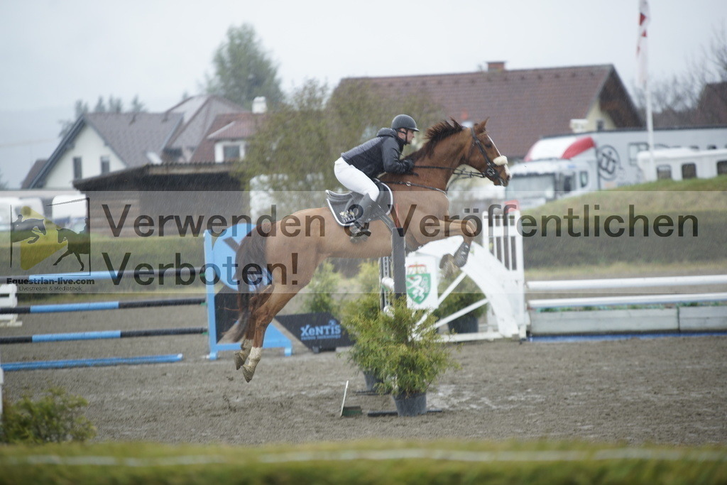 _DSC6224 | equestrian-live-com