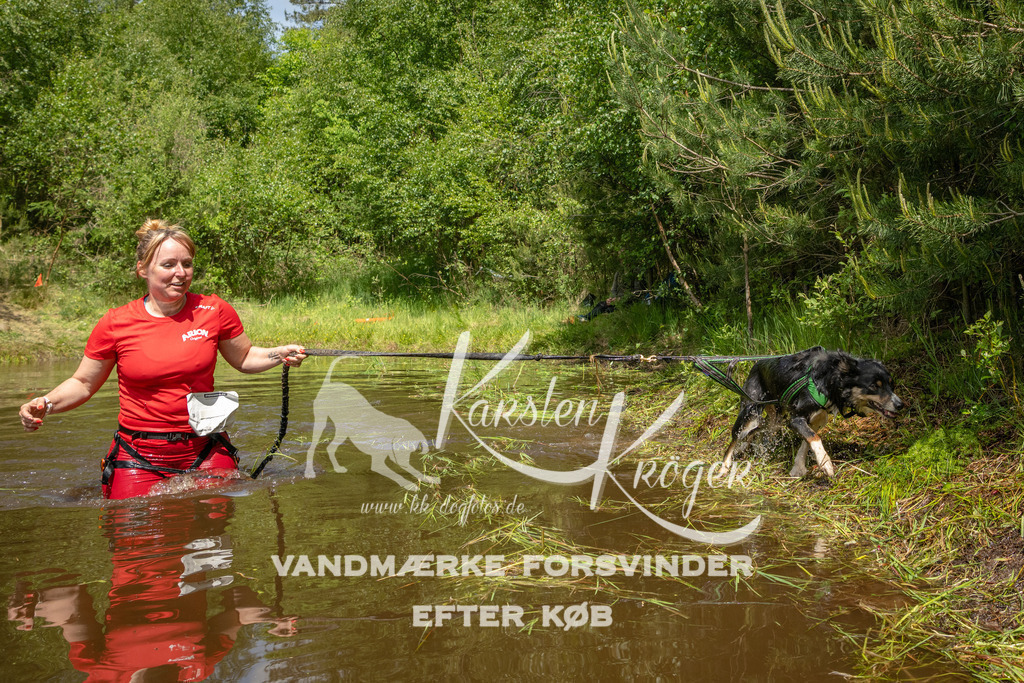 1240DKK993272 | kk-dogfotos