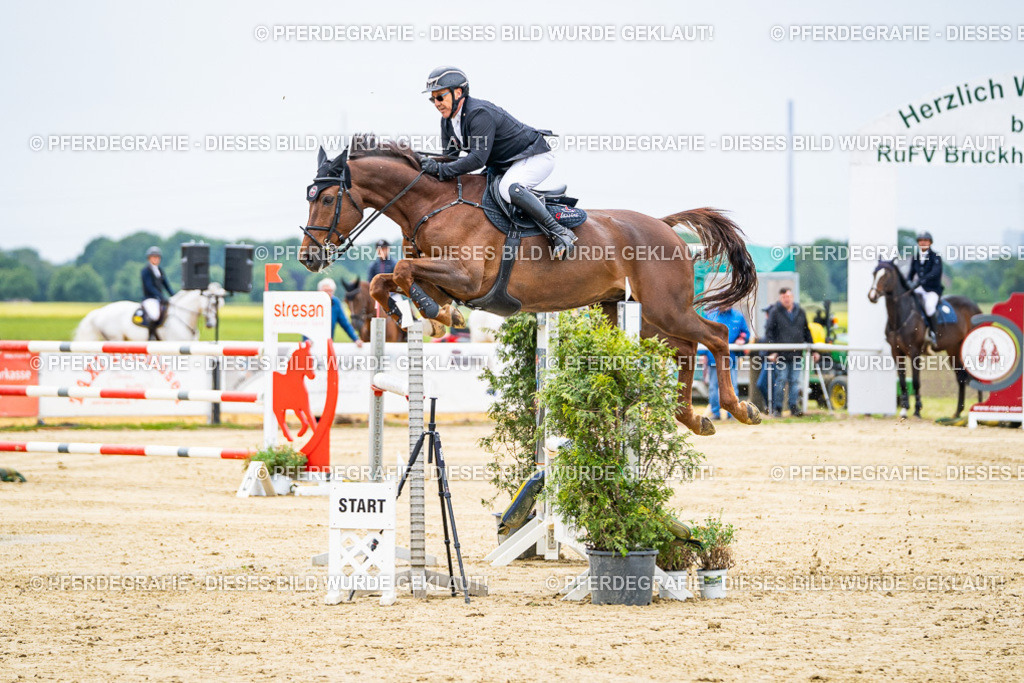 DSC06789 | Pferdegrafie