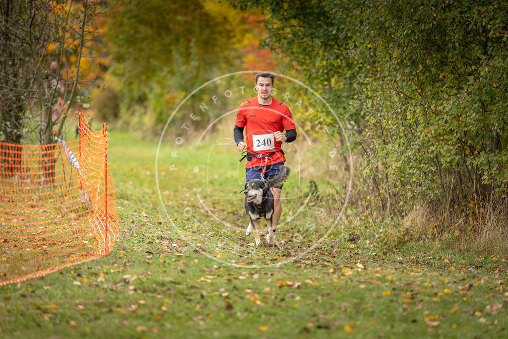 Pfotenfotografie_DV3A4224 | Hundefotografie, Tierfotograf, Pfotenfotografie, Fotoshooting Hund, Hunde Portrait, Hundesport, Hundeportraits, Heideshooting, Hunde, Sportfotograf, Hundefotograf, Turnierhundsport, THS,  - Realisiert mit Pictrs.com
