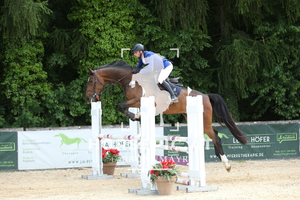 DL2Q6697 | Willkommen bei Brunnmayr - Design & Fotografie – Ihrem Spezialisten für Reitturniere und Pferdeveranstaltungen in Oberösterreich, Salzburg und Bayern! Seit über 17 Jahren sind wir leidenschaftlich dabei.