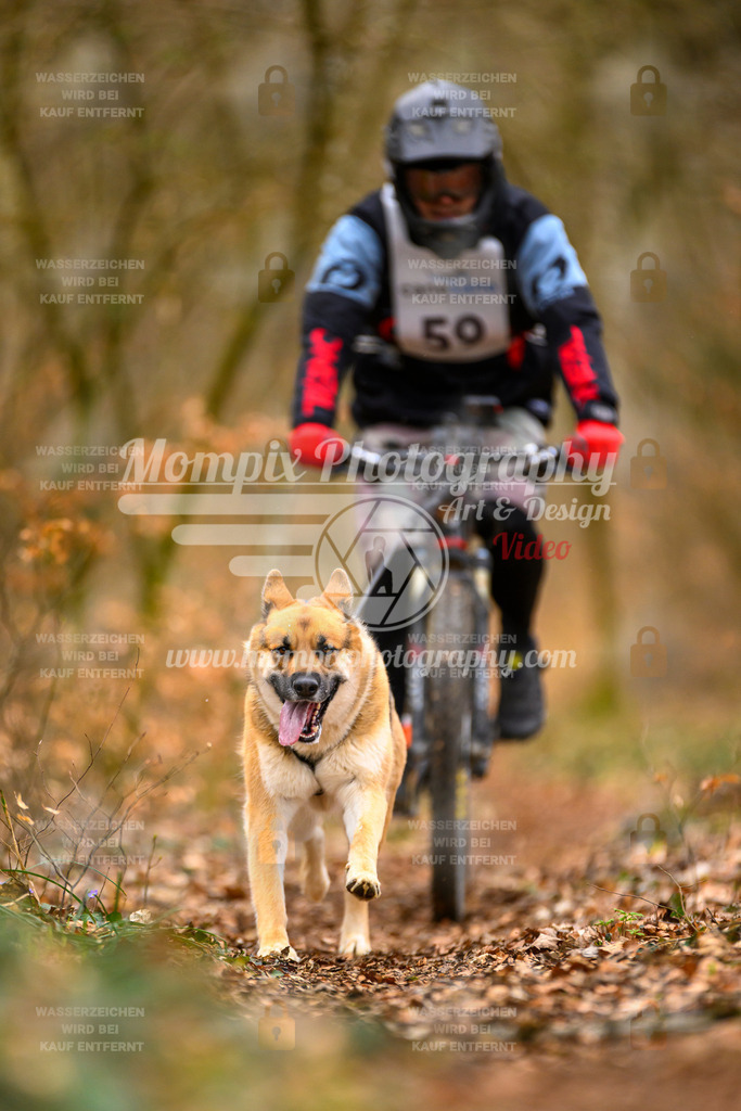 MompixPhotography_ReiatRennen2024_SO_Bike1H-136 | PayLife