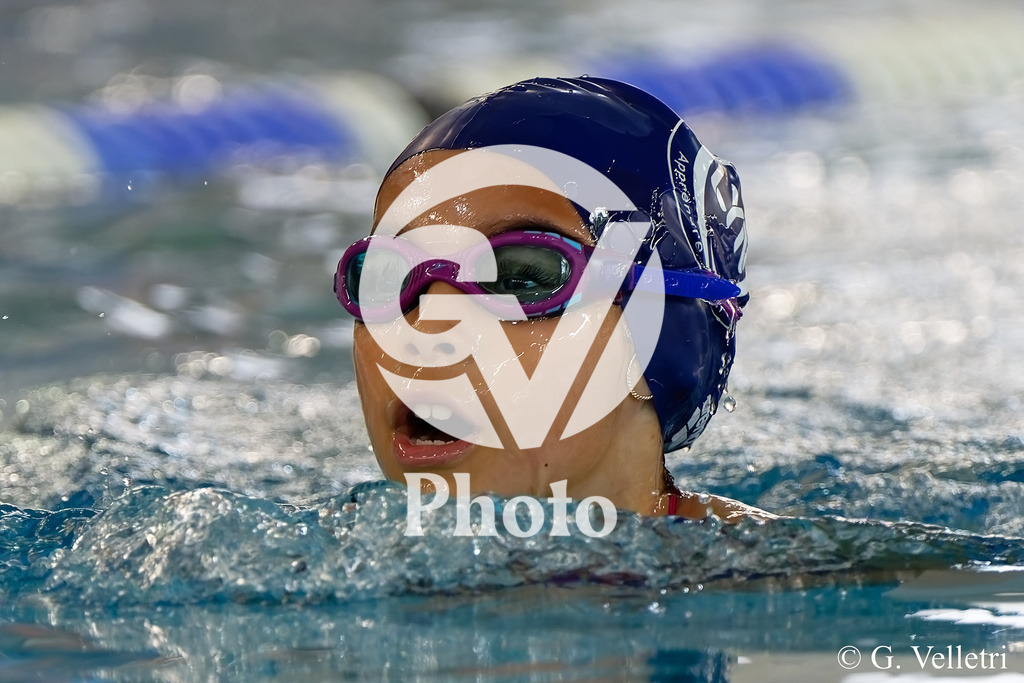 DSC_4402 | Velletri Photo