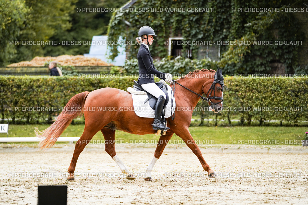 DSC08768 | Pferdegrafie