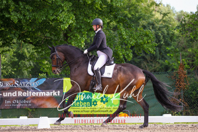 DKP41657 | Deine Turnierfotos vom Reitturnier online kaufen: Dressur, Springen & Siegerehrung. Professionelle Pferdefotografie aus dem Rheinland – als Download & Print.Alternative: Turnierfotograf für den Pferdesport: Finde deine Fotos von Dressur- und Springturnier