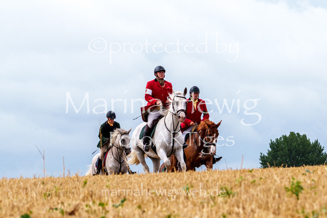 Jagd Knoop 26_MarinaHewigMCH02302 | Fotografie, FotoArt, PferdesportArt, Pferdesportfotografie, Landschaftsfotografie, Reisefotografie, Reise, Pferde - Realisiert mit Pictrs.com