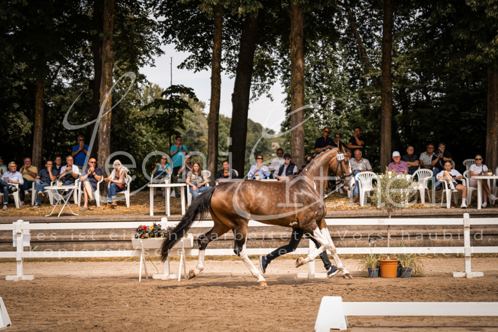 3.Fr00214 | Leoni Ertmer Photography - Realisiert mit Pictrs.com