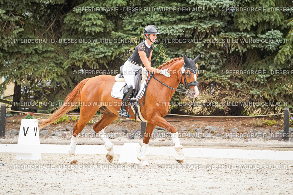 DSC08151 | Pferdegrafie