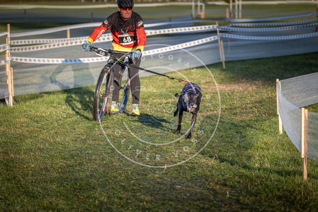 CaniXpix_0L8A3269 | Hundefotografie, Tierfotograf, Pfotenfotografie, Fotoshooting Hund, Hunde Portrait, Hundesport, Hundeportraits, Heideshooting, Hunde, Sportfotograf, Hundefotograf, Turnierhundsport, THS,  - Realisiert mit Pictrs.com