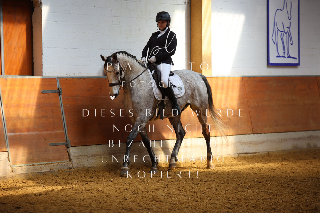 IMGT4488 | pl-fotografie