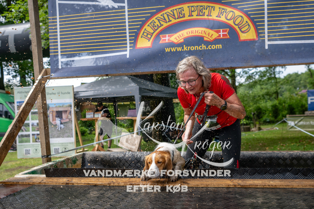 1129_ZZ94498 | kk-dogfotos
