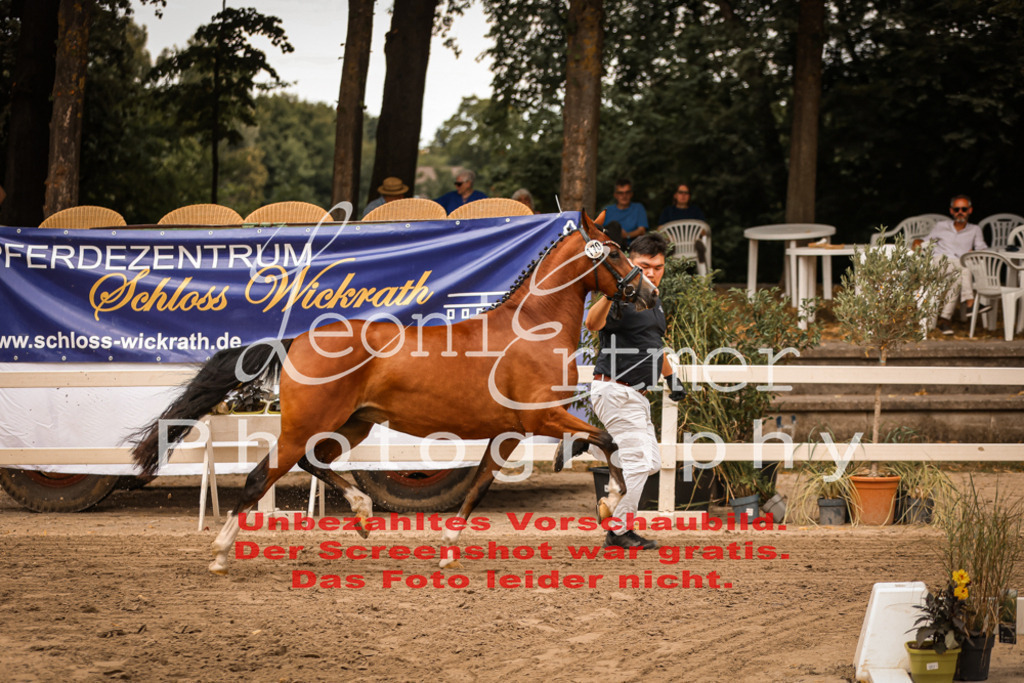 12.So00032 | Leoni Ertmer Photography - Realisiert mit Pictrs.com