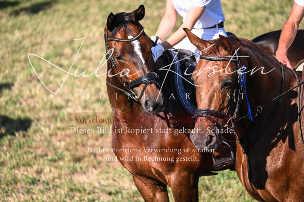 DSC_2610 | Pferde- und Turnierfotografie in Westsachsen. Pferdeportraits, Auftragszeichnungen und intuitive Kunst.