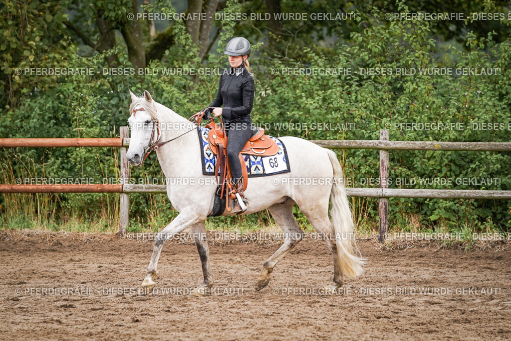 DSC05082 | Pferdegrafie