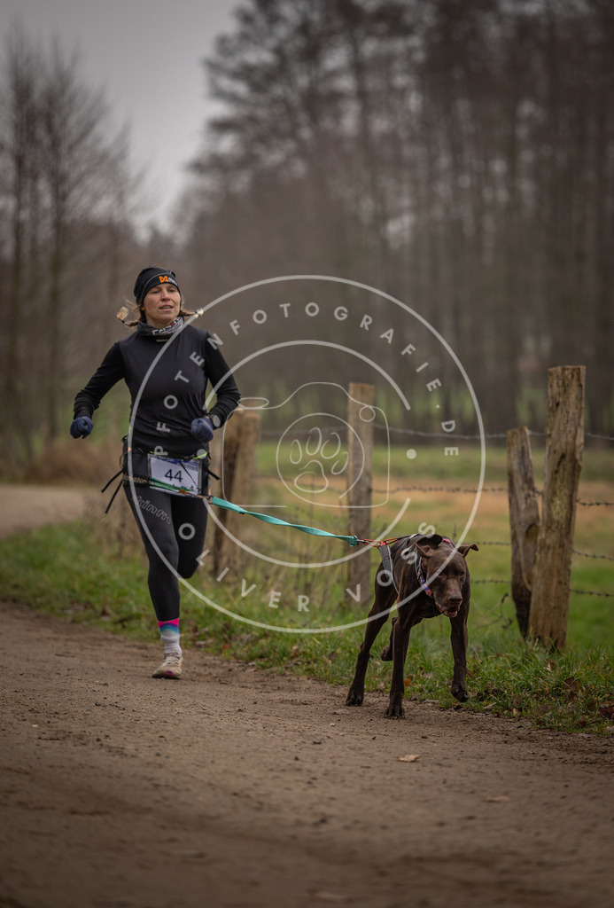 Pfotenfotografie_DV3A2702 | Hundefotografie, Tierfotograf, Pfotenfotografie, Fotoshooting Hund, Hunde Portrait, Hundesport, Hundeportraits, Heideshooting, Hunde, Sportfotograf, Hundefotograf, Turnierhundsport, THS,  - Realisiert mit Pictrs.com