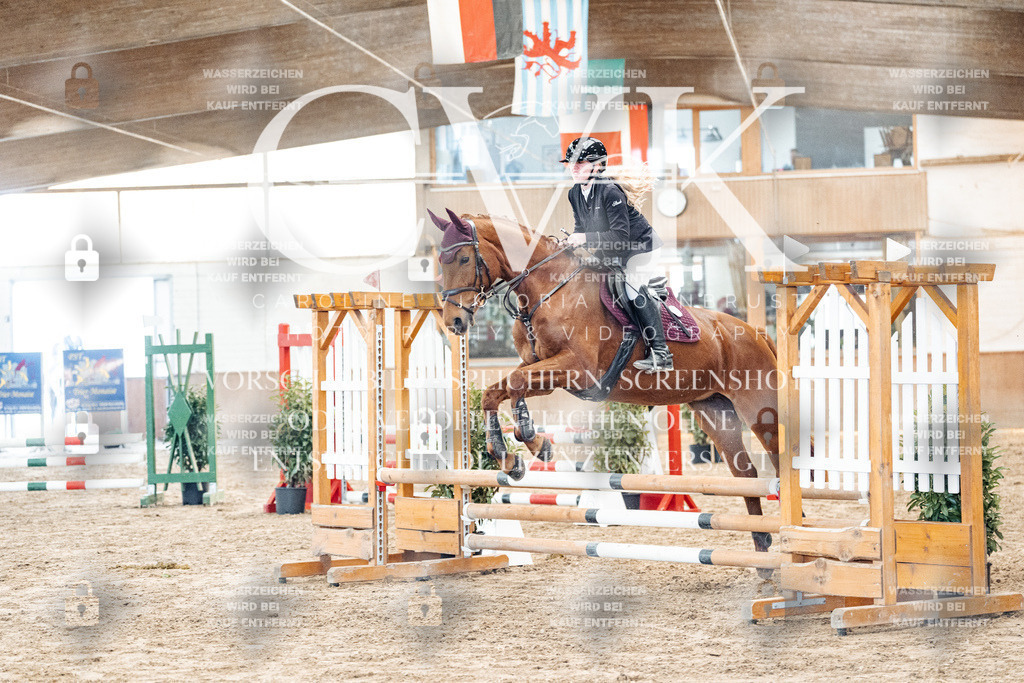CK903839 | Turnierfotografie Pferdefotografie Trier Rheinland-Pfalz Pferdesport Reitsport Tierfotografie Sportfotografie Pferdevideo Pferdevideografie Equestrianvideography equestrianphotography  - Realisiert mit Pictrs.com