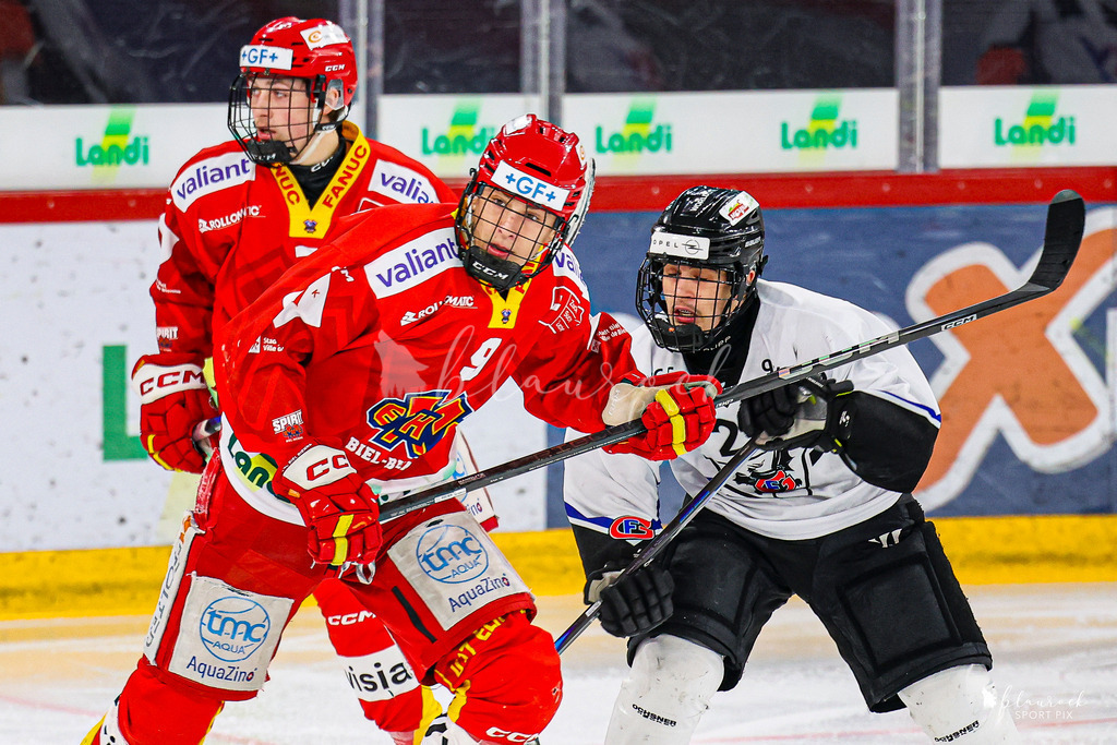 EHCB Spirit vs HCFG_wb-7164 | Sportbilder, Sportfotograf, Hochzeits- und Eventfotografin, Flugshows, Portraits und Tiershooting, Aviation, Downhill, Nationalleague, Swissleague, International