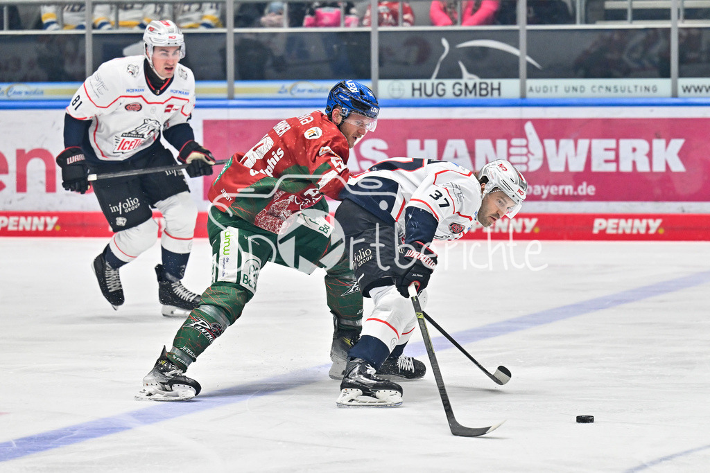 Augsburger Panther - Nürnberg Ice Tigers | AUGSBURG, GERMANY - 23. DECEMBER: im Duell Maximilian RENNER (Augsburger Panther 58) und Tyler SPEZIA (Nürnberg Ice Tigers 37) während dem Match zwischen den Augsburger Panthern und den Nürnberg Ice Tigers am 31. Spieltag der Penny DEL im Curt Frenzel Stadion