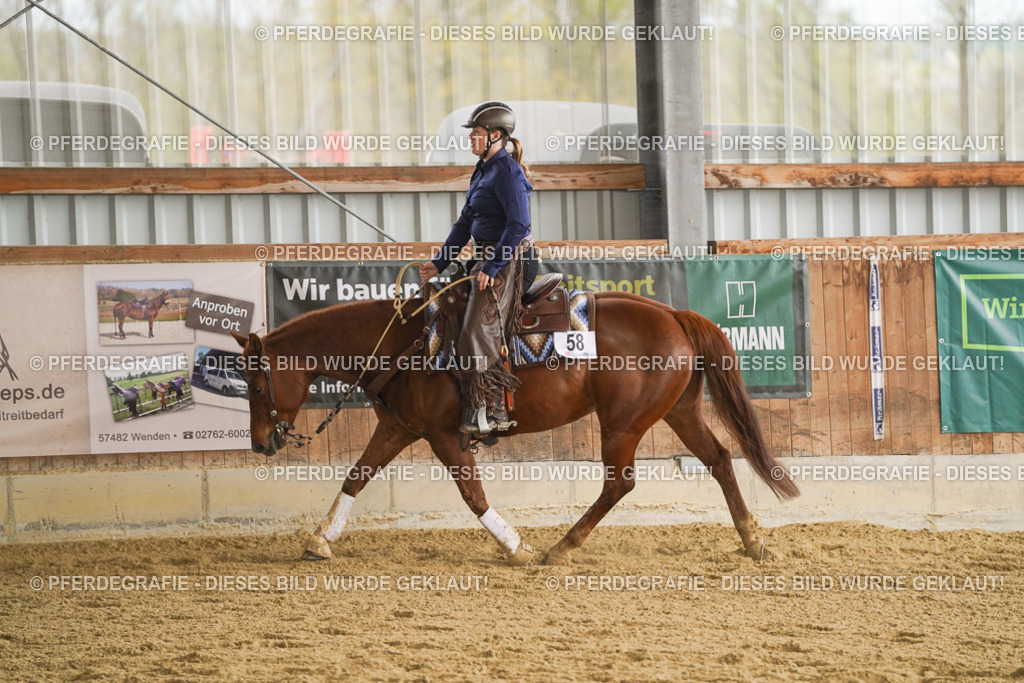 DSC08590 | Pferdegrafie