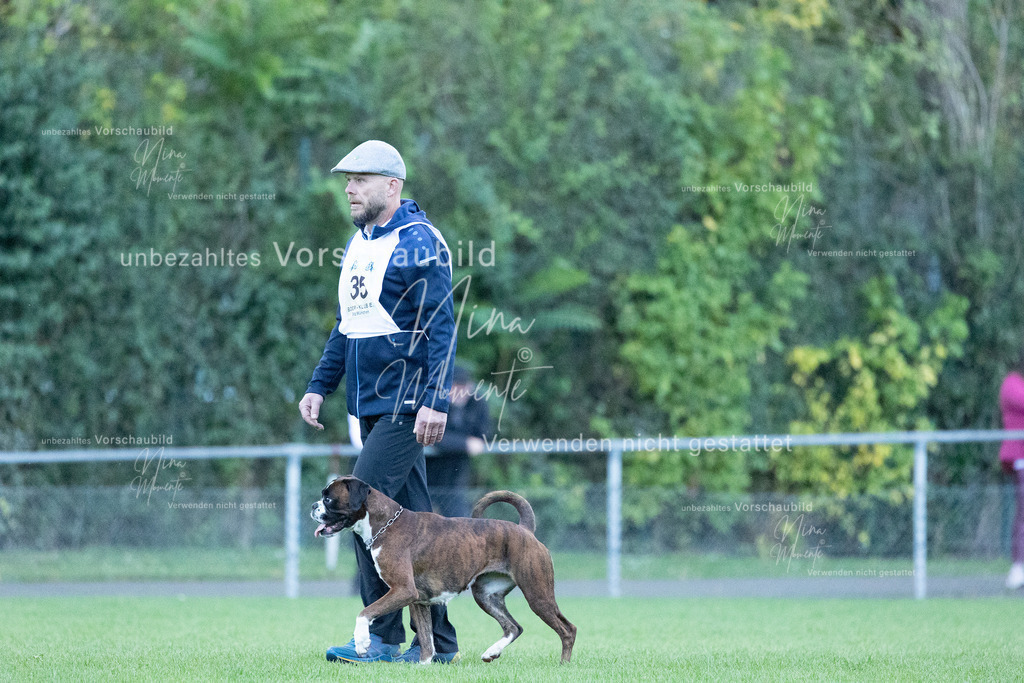 _16A4508 | Einzigartige Fotos von Hunden & Menschen –Actionfotos, Portraits, Vereinsaufnahmen & Paarshootings – authentisch, lebendig & mit Herz.