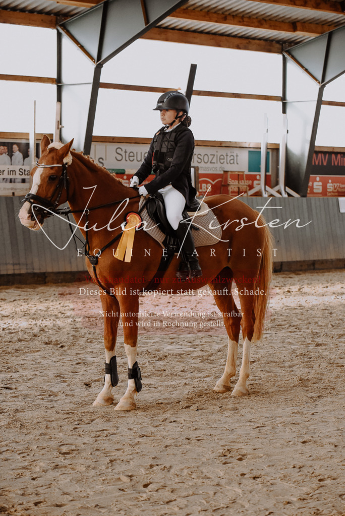 DSC_7501 | Pferde- und Turnierfotografie in Westsachsen. Pferdeportraits, Auftragszeichnungen und intuitive Kunst.