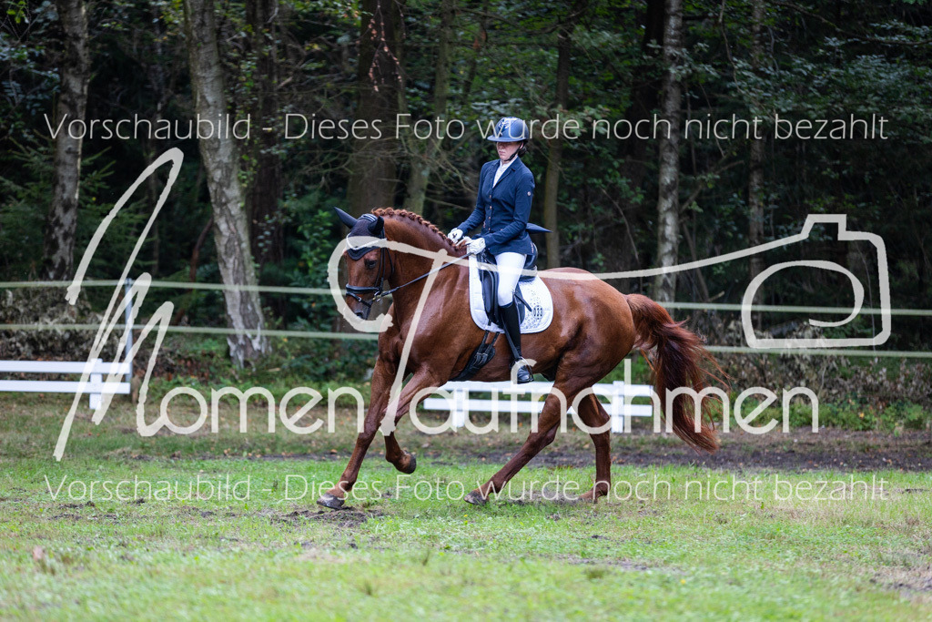 HB-A-Dressur-052 | MomenTaufnahmen Pferdesportfotos