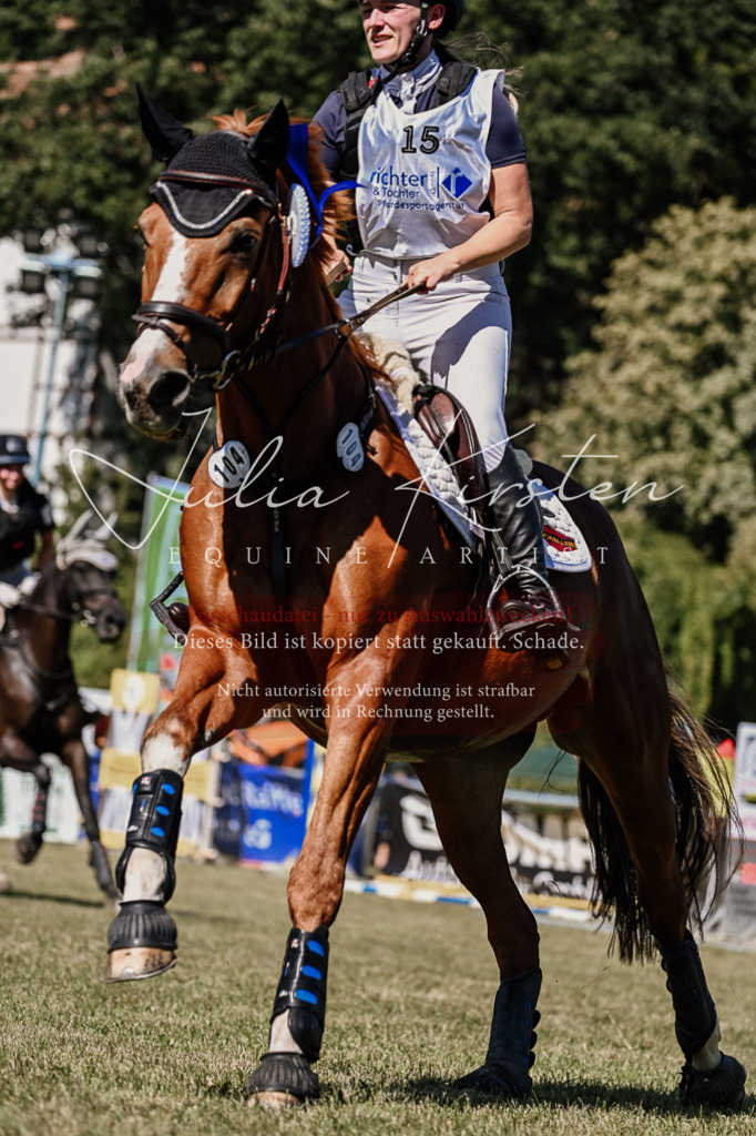 DSC_2589 | Pferde- und Turnierfotografie in Westsachsen. Pferdeportraits, Auftragszeichnungen und intuitive Kunst.