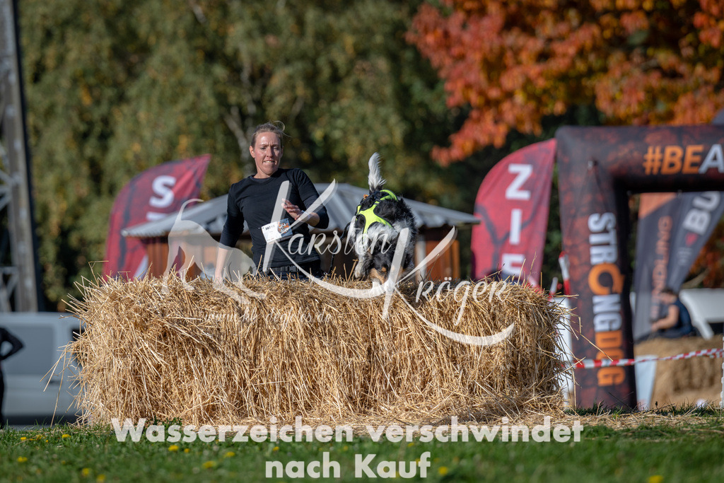 1057_ZZ92162 | kk-dogfotos