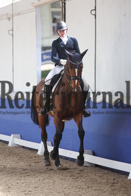 Pforzheim_2024_Prfg.Nr.12_Dressurreiterprfg.Kl.M_Nürnberger-Burgpokal_Ann-Sophie Mayr_MED-Lissy (11) | Alle Fotos der Reiterjournal Fotografin Doris Matthaes im Reiterjournal Online-Fotoshop. - Realisiert mit Pictrs.com