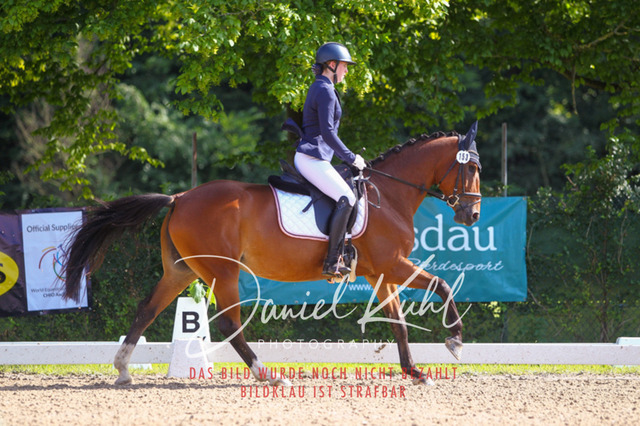 DKP42917 | Turnierfotos kaufen im Webshop von Daniel Kuhl Photography – entdecke professionelle Reitsportfotos aus Turnieren & Events. Hochwertige Turnierbilder online bestellen & sichern. Jetzt Fotos von Reitsportturnieren kaufen!