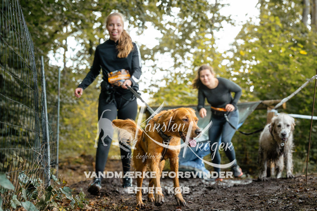 1435DZ6_3090Z6 | kk-dogfotos