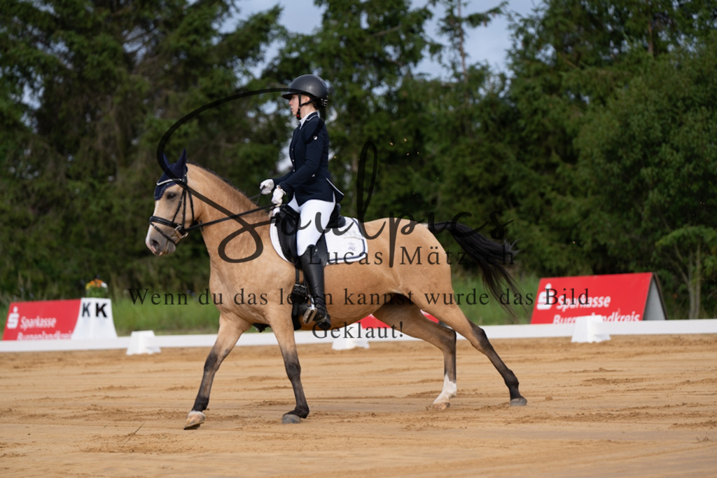 A7V05091 | Pferdefotograf