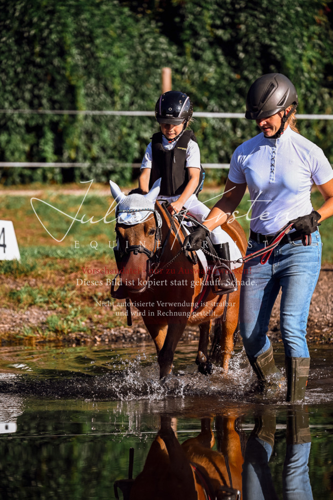 DSC_0486 | Pferde- und Turnierfotografie in Westsachsen. Pferdeportraits, Auftragszeichnungen und intuitive Kunst.