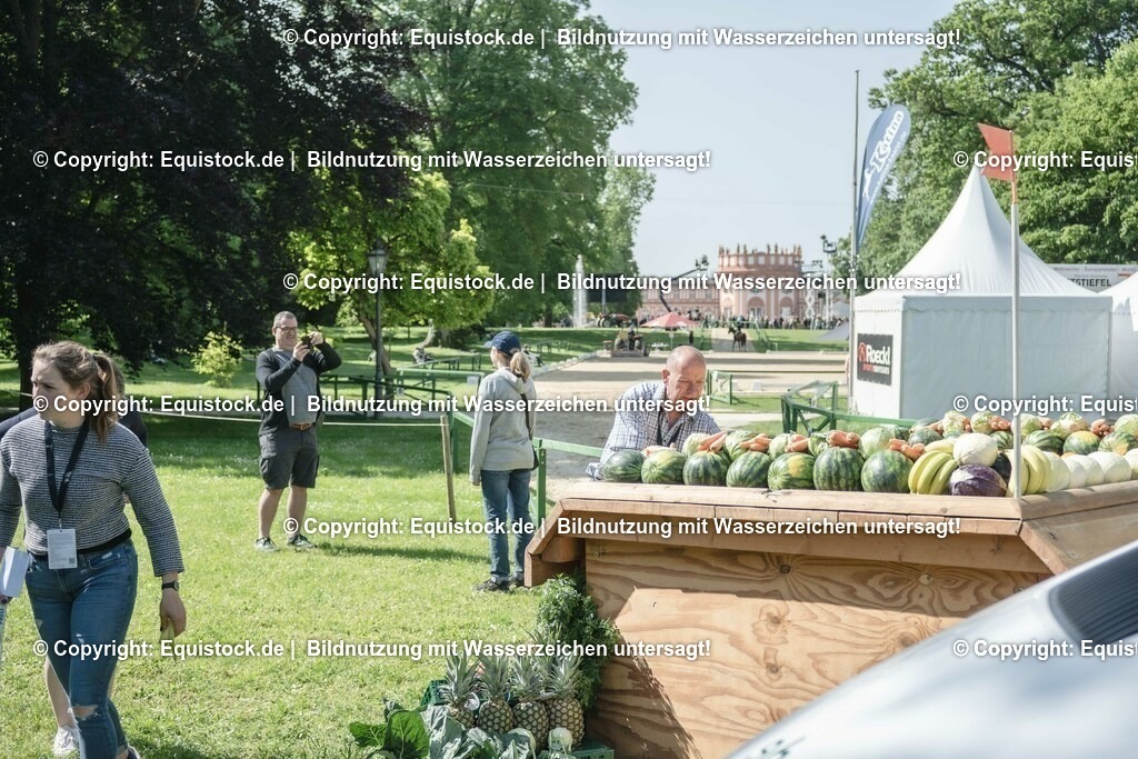 ZFC_3932 | equistock